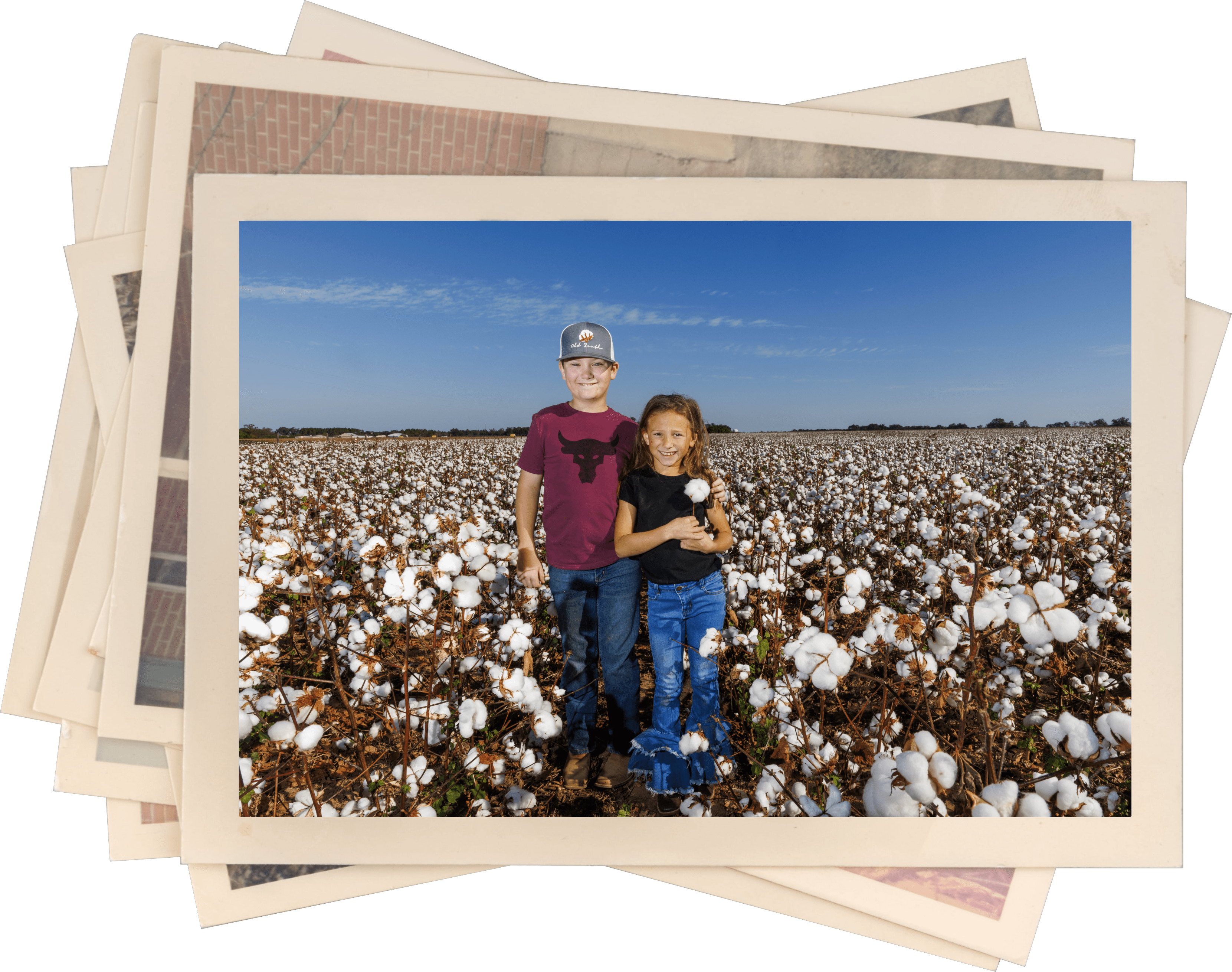 Building trust for U.S. Cotton